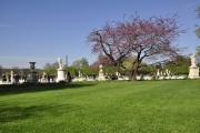 024__DSC0013